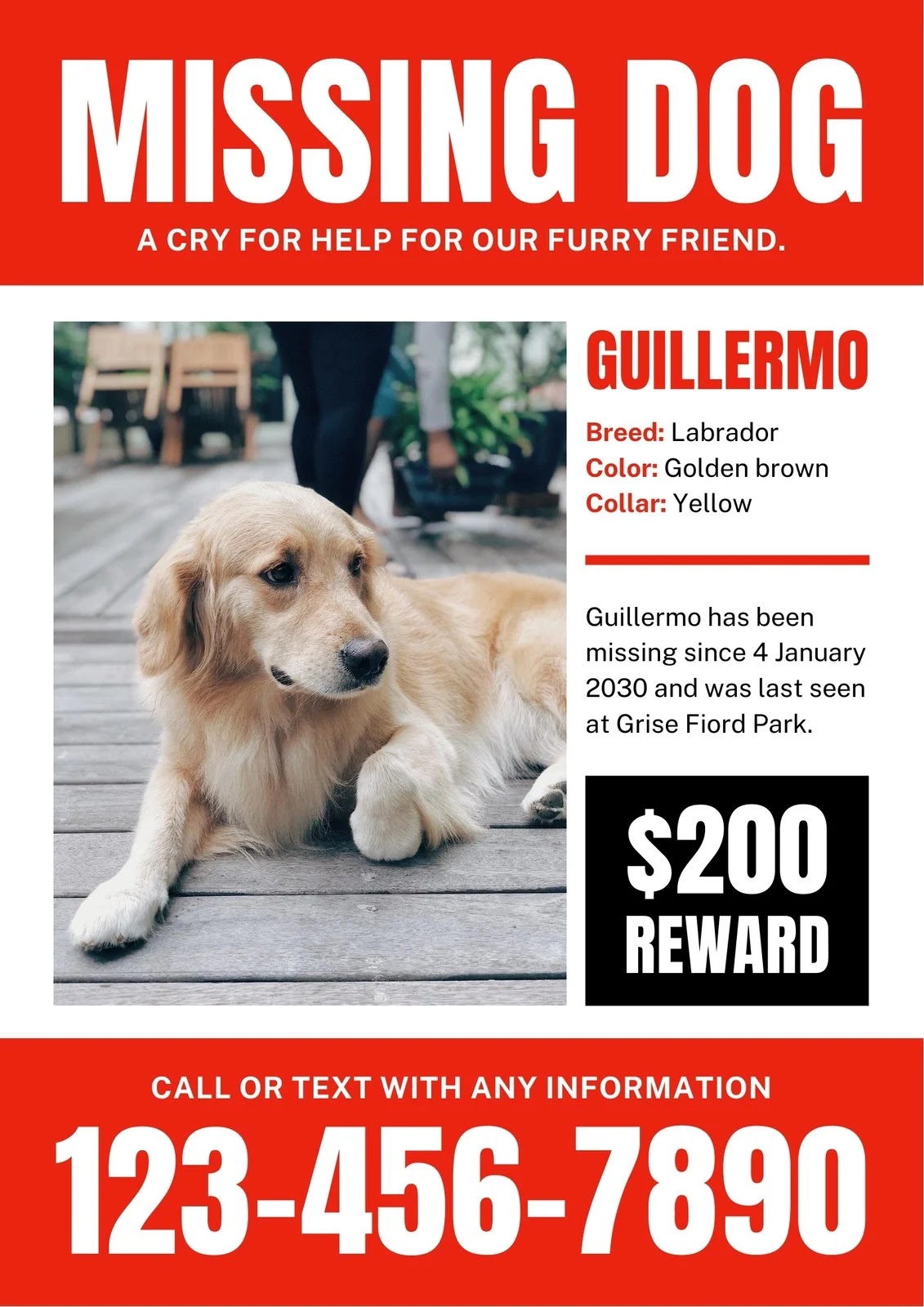 Sample of a lost pet flyer